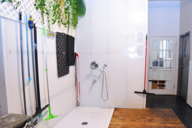 Indoor shower area with cleaning tools and plants.